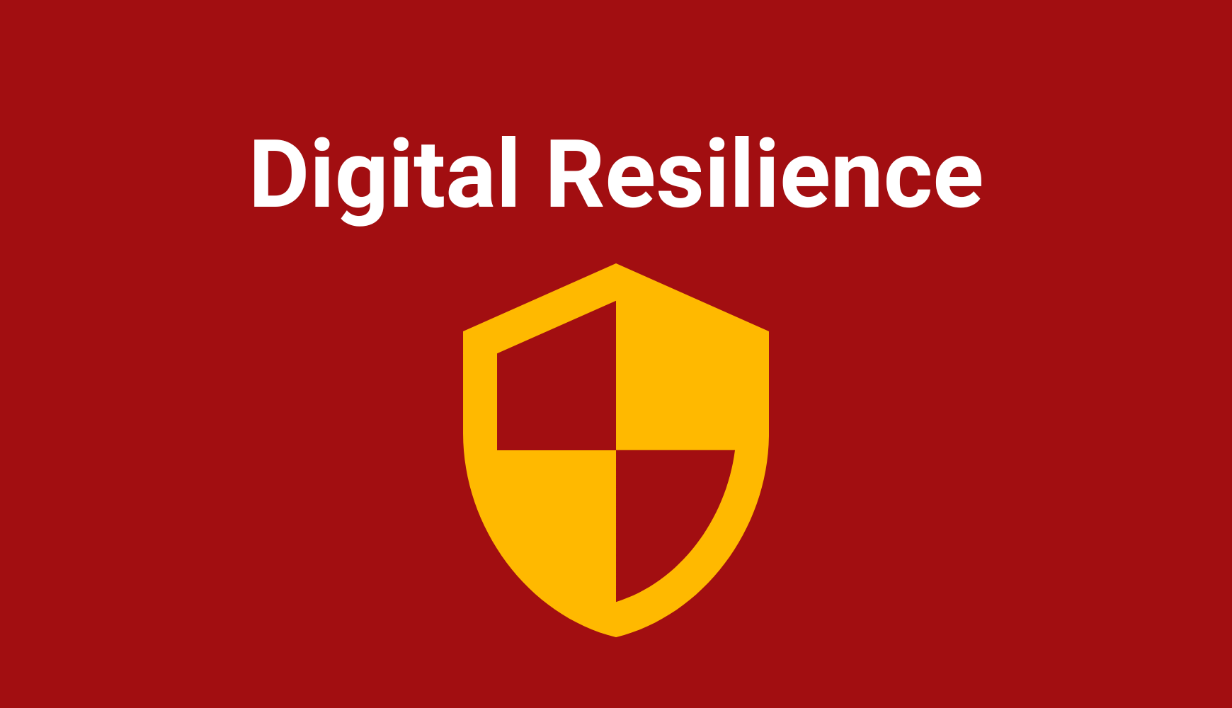 Digital Resilience: Managing Cyber Security and Data Privacy