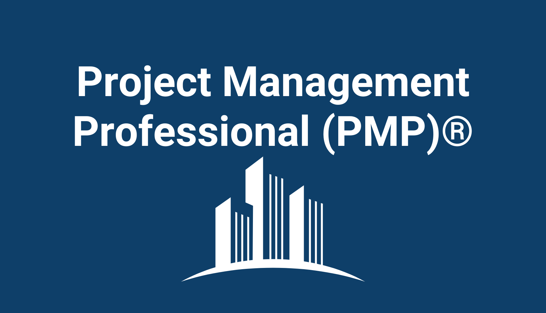 Project Management Professional